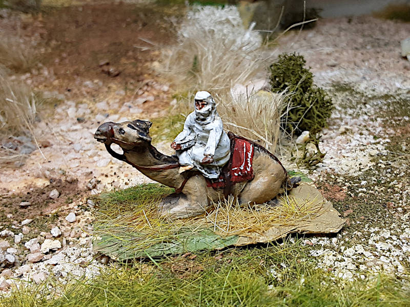 alle Jhd.: Beduine (auf einem Dromedar sitzend) - 1/72
