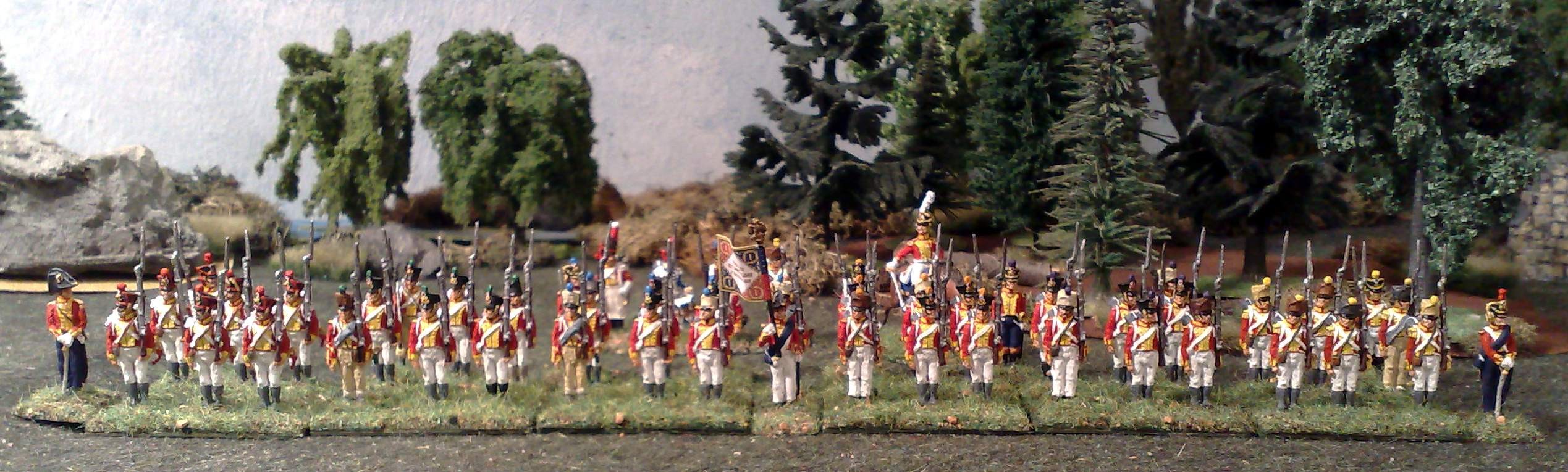 Schweizer-Bataillon_01