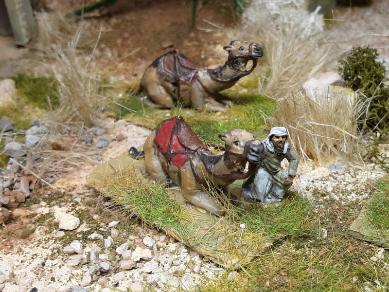 alle Jhd.: Beduine (neben einem Dromedar knieend) - 1/72